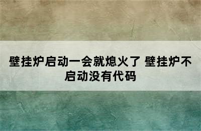 壁挂炉启动一会就熄火了 壁挂炉不启动没有代码